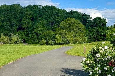allée d'entrée du domaine de la ferme de fourges