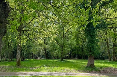 zone arboré du domaine