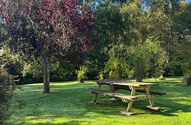 zone de pique nique du gîte la Longère