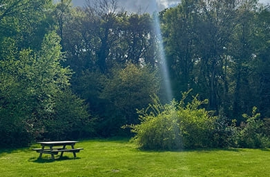 zone extérieure de l'ancienne écurie avec table de pique nique